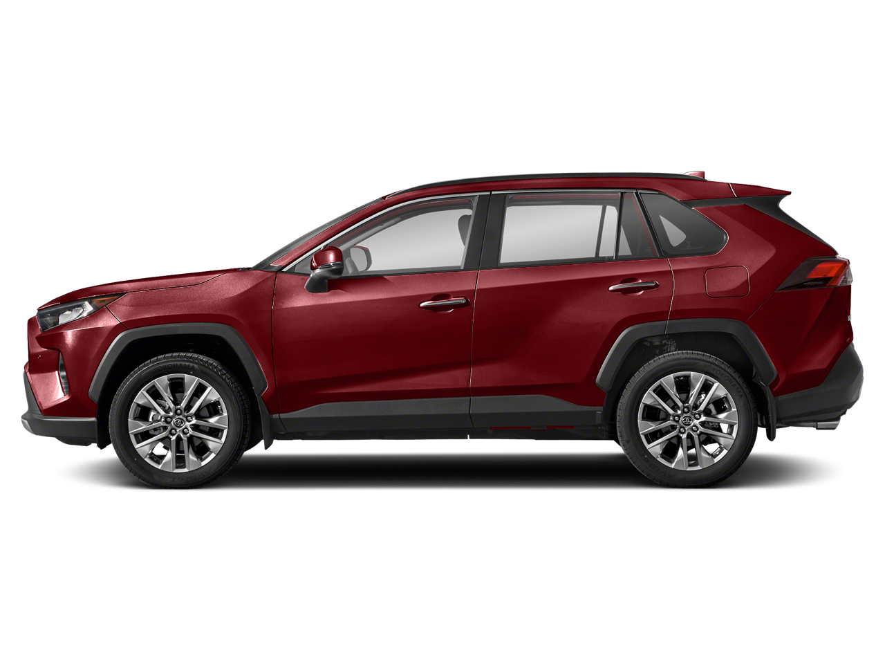 2019 Toyota RAV4 Limited photo 3