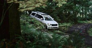 2020 TOyota Sequoia | Tansky Sawmill Toyota