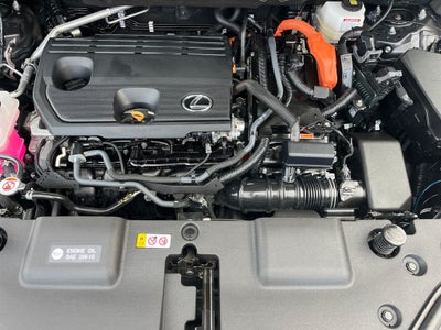 2025 Lexus NX 350h Base
