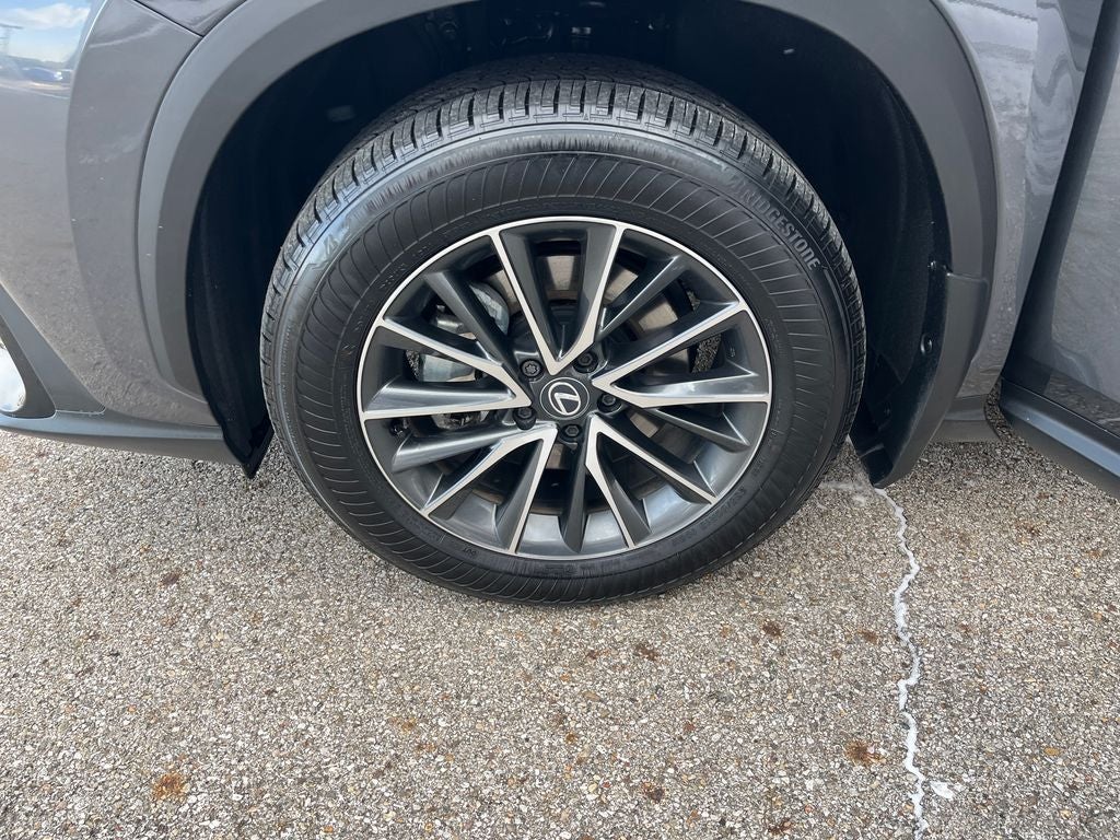 2025 Lexus NX 350h Base