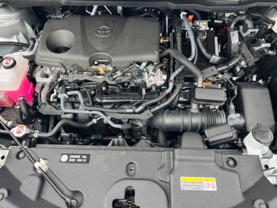 2024 Toyota Sienna Platinum 7 Passenger