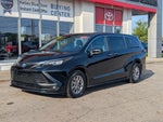 2025 Toyota Sienna XLE 7 Passenger