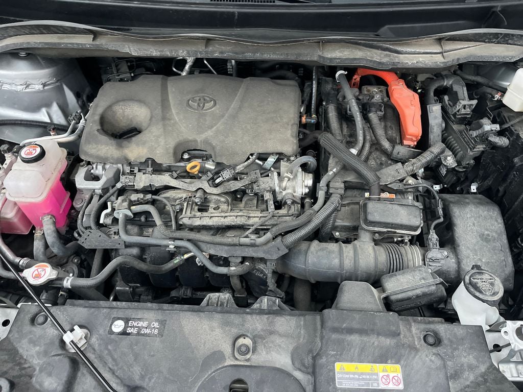 2023 Toyota Sienna XLE 7 Passenger